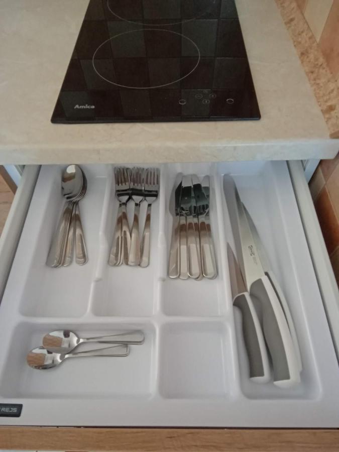 Flauta Apartamenty Rodzinne ミエレンコ エクステリア 写真